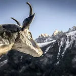 La Renarde Alpehytte